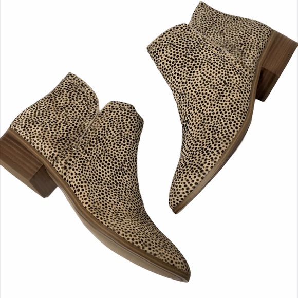 Aldo Shoes - ALDO Kaicien Dotty Cheetah Ankle Boot 8.5 NIB